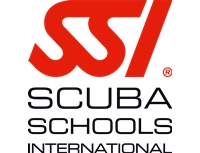 SSi Logo